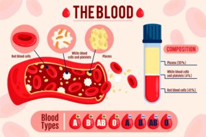 B Positive Blood Type Diet